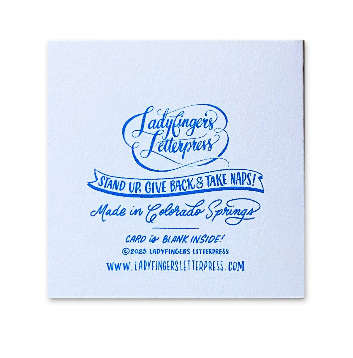 Bow Tiny Greeting Card & Envelope