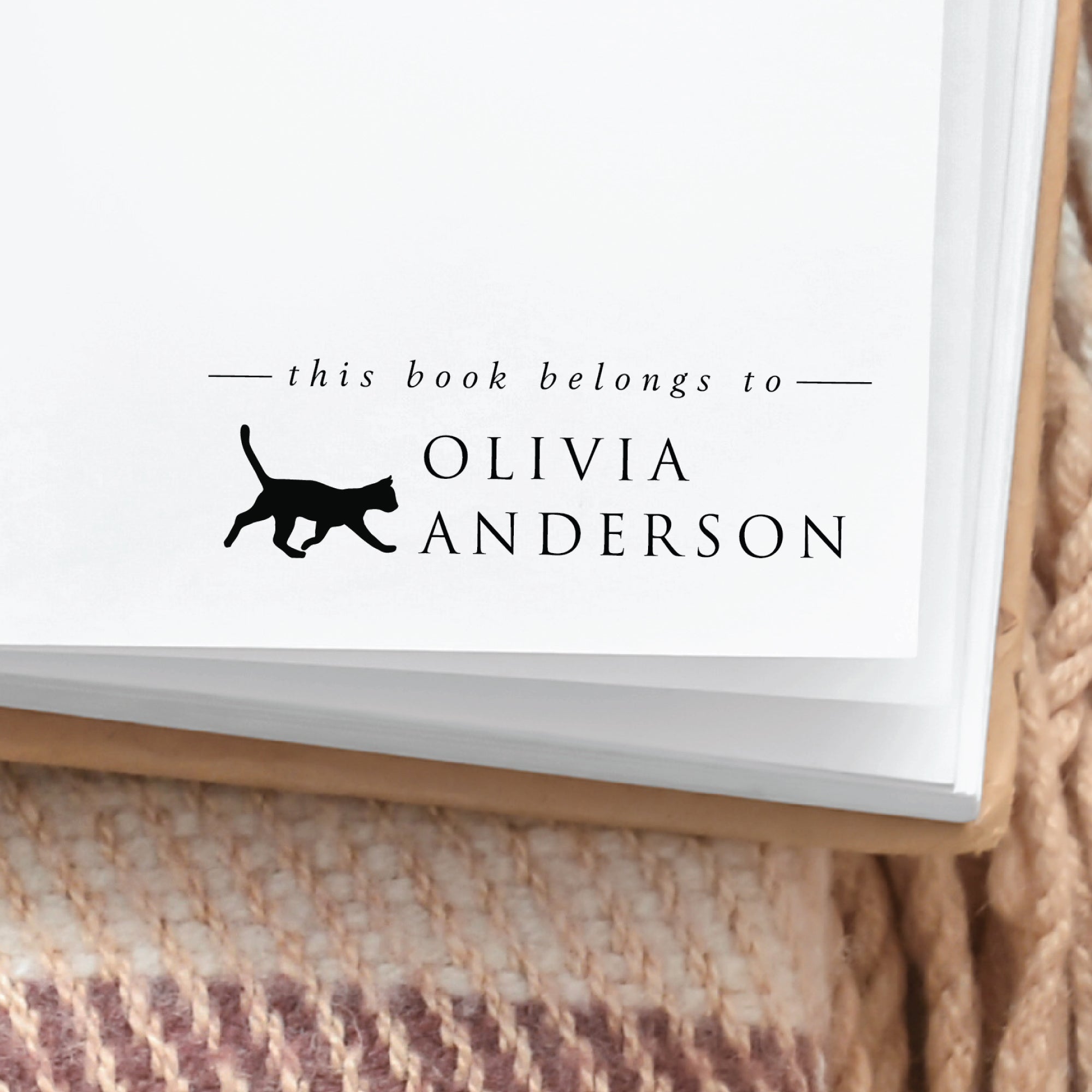 Curious Cat Book Stamp v2