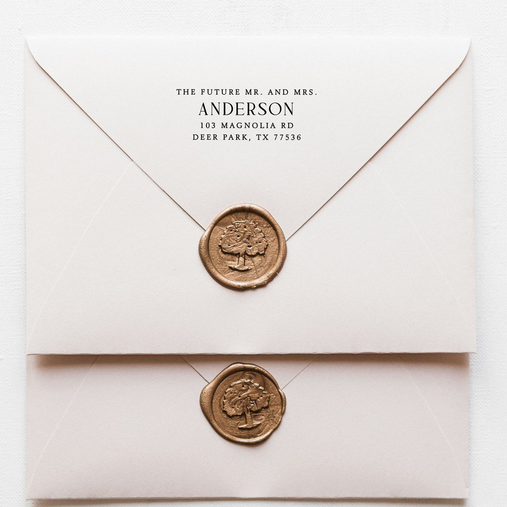 The Future Mr. and Mrs. Wedding Stamp v5
